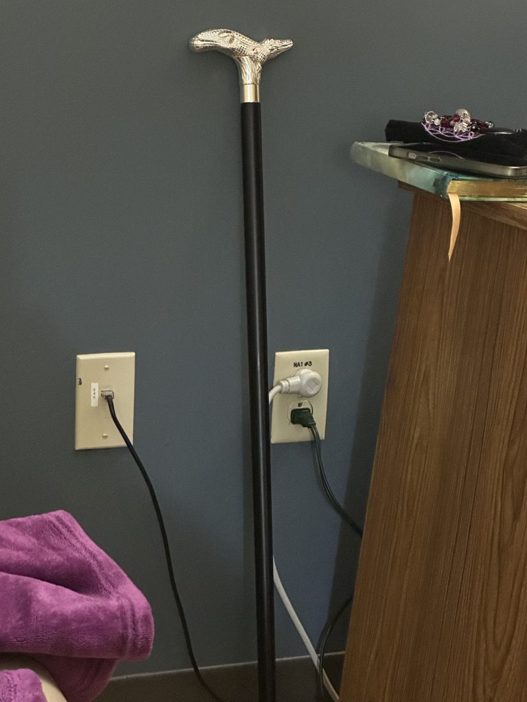 A cane without an owner